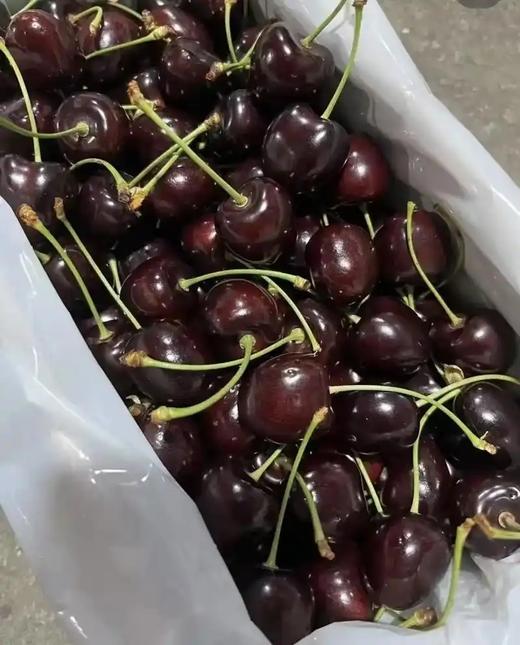 新西兰奥塔哥科迪亚车厘子298元1箱5斤装，明天到货 商品图3