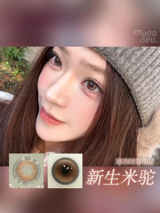 moaaNeu日抛 英国雨/古着麻棕/猫咪创世纪/新生米驼/神赐金埃及/亚马逊神庙 14.2-14.5mm 日抛无售后！ 商品图2