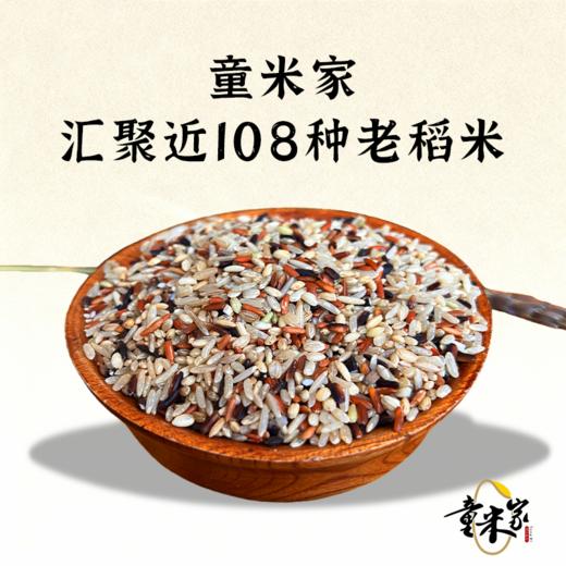 【同行精选】百谷老种子糙米5斤，百种原生稻米手工混种，天然无农化，富含膳食纤维与胚芽营养。 商品图1