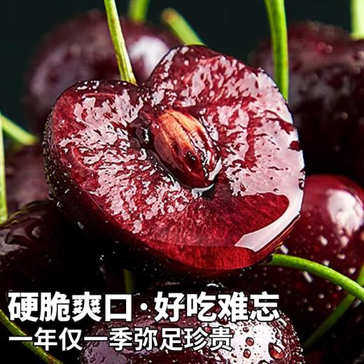 S顺丰包邮！进口智利桑提娜车厘子2J-4J*1斤/2斤/3斤/5斤 商品图1