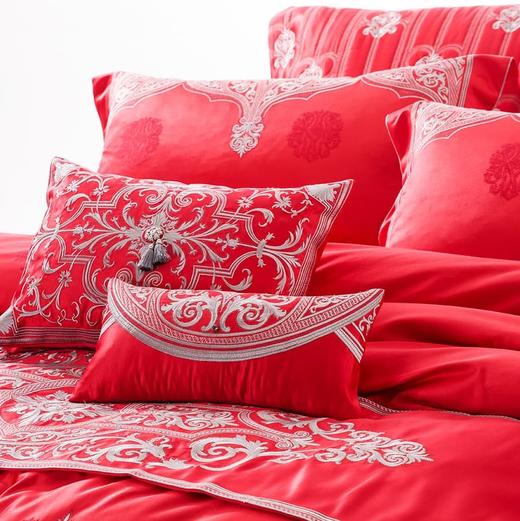 恐龙家纺XS 【青青子衿】60S精梳棉婚庆六件套 商品图2