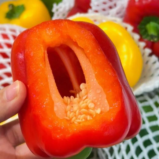 山东水果灯笼彩椒【2种颜色拼装】 商品图2