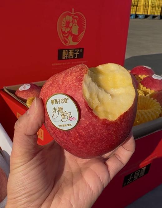 顺丰发货【精品水果】醉西子赤霞香妃苹果 果中新贵 商品图1