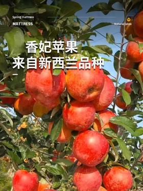 顺丰发货【精品水果】醉西子赤霞香妃苹果 果中新贵