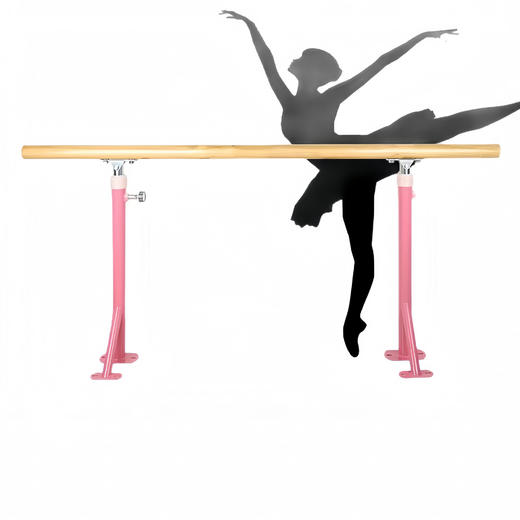 【邮费单独收取】【格物系列】落地式舞蹈把杆墙壁固定压腿杆落地固定舞蹈室把杆家用舞蹈压腿杆【可先看样，样品7天无理由退货。大货不退】 商品图0