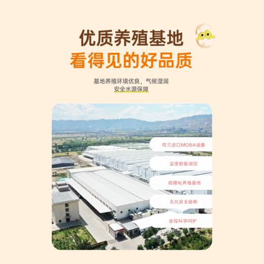 果真田园叶黄素可生食鸡蛋30枚【分仓直发，72小时发货，周末节假日不发货】 商品图3