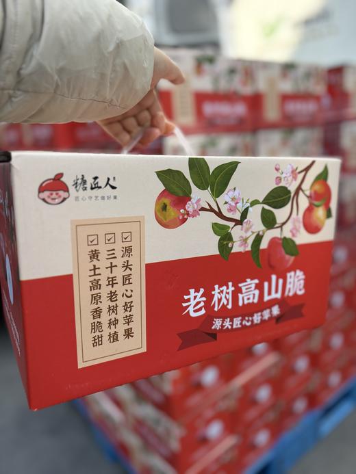 山西高山30年老树苹果35元1箱毛8斤，明天到 商品图8