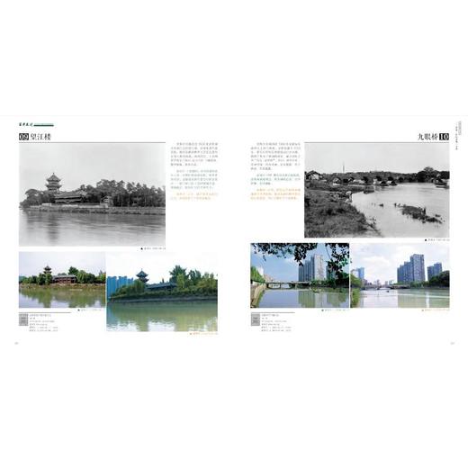 百年变迁--两位东西方植物学家的影像重逢 商品图1