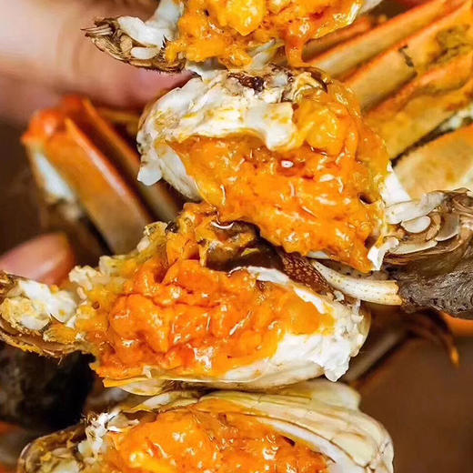 【自营】泗洪大闸蟹8只装 商品图4