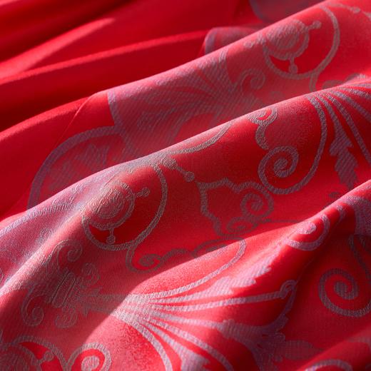 恐龙家纺XX 【达西塔】100S色织提花婚庆四件套（线下专柜款） 商品图3