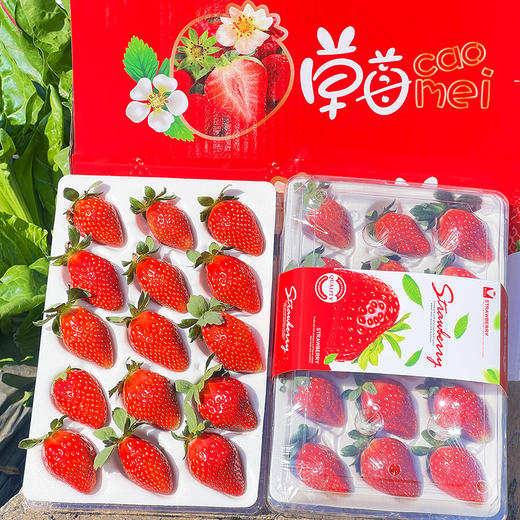 尝鲜福利『攀枝花露天冬草莓』随珠草莓+粉玉草莓+香玉草莓，甜美细嫩，香软怡人，鲜灵莹润 商品图3