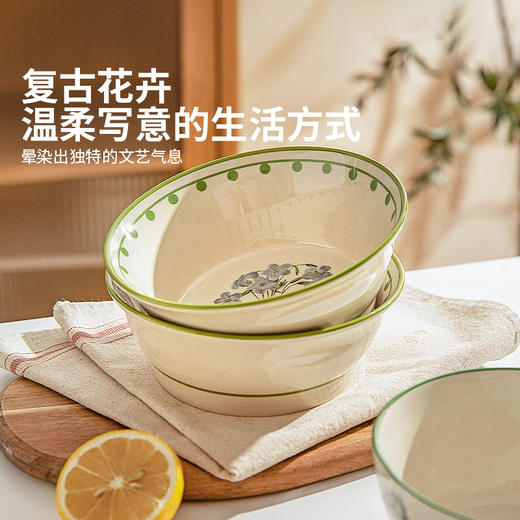 摩登主妇釉下彩汤碗家用面碗泡面碗2025新款高颜值碗餐具陶瓷大碗 商品图3