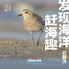 「端午假期」赶海很有趣 · 北戴河海洋潮汐探索之旅 商品缩略图0