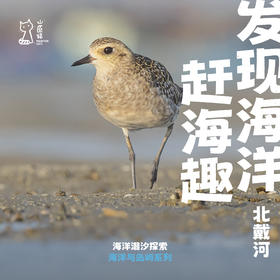 「中秋假期」赶海很有趣 · 北戴河海洋潮汐探索之旅