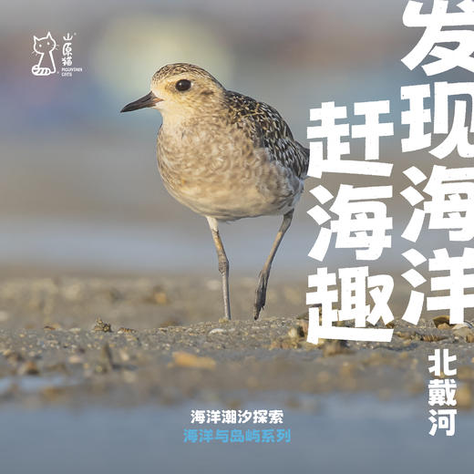 「端午假期」赶海很有趣 · 北戴河海洋潮汐探索之旅 商品图0