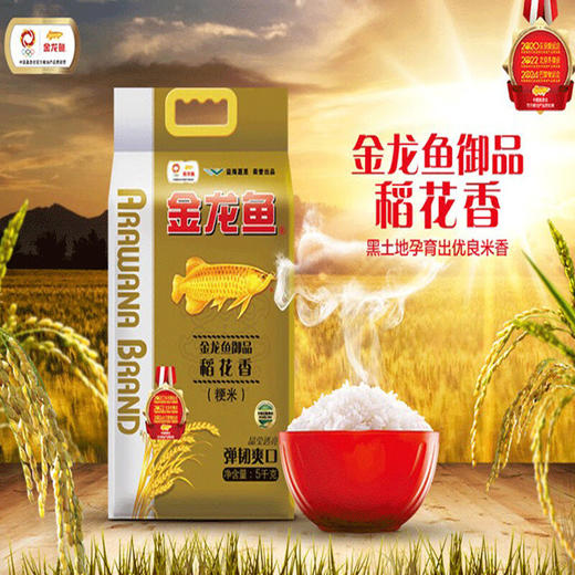 金龙鱼 御品稻花香5kg 商品图5