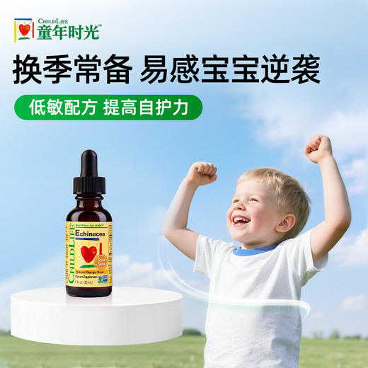 ChildLife童年时光紫锥菊滴剂 防感染 商品图0