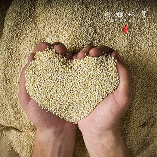 高原生态藜麦（成都仓库-顺丰快递）| 500g/袋，来自青海香日德，生产者：张德路【合作生产，公平贸易】 商品图9