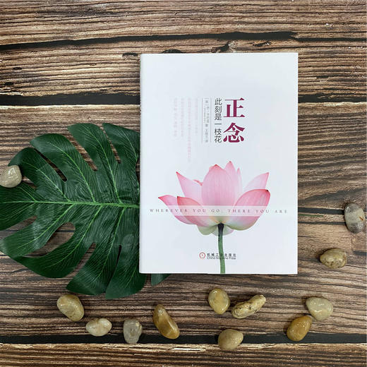 正念:此刻是一枝花 商品图1