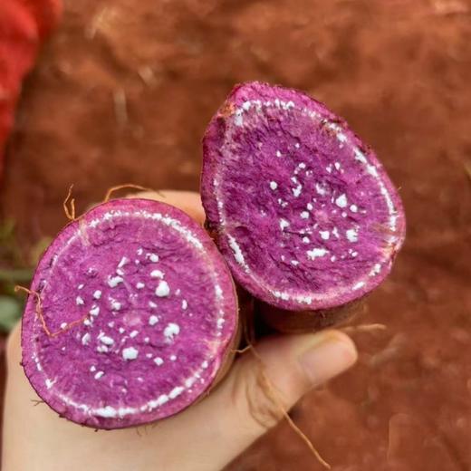 可烤的糖心紫薯【非凡糖度30+，为烤而生，烤后稀软流油】 商品图5