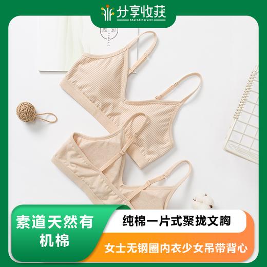 素道有机彩棉纯棉一片式聚拢文胸女士无钢圈内衣少女吊带背心一体B杯 商品图0