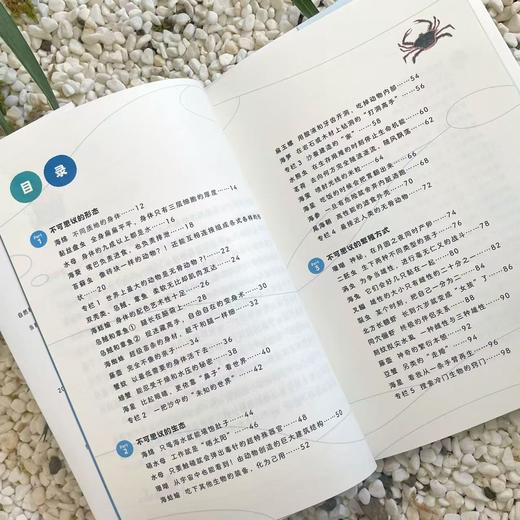大海里的怪东西 商品图5