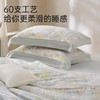 新疆长绒棉60支印花四件套(如烟) 商品缩略图3