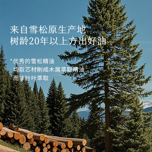 枕草子摩洛哥【大西洋雪松】精油 | 欧盟you机认证   油性肌头皮养护  给予支持 引梦 商品图2