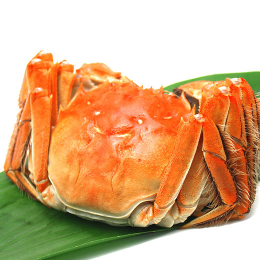 【自营】泗洪大闸蟹8只装 商品图3