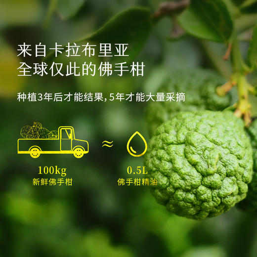 【枕草子】意大利【佛手柑】精油 招财佛手柑  欧盟有机认证 意大利枕草子柑橘家族 减压学生老师 油皮护肤 商品图3
