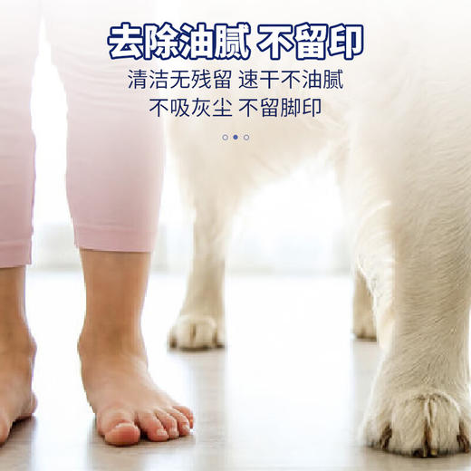 巨奇-地板清洁片100片 商品图4