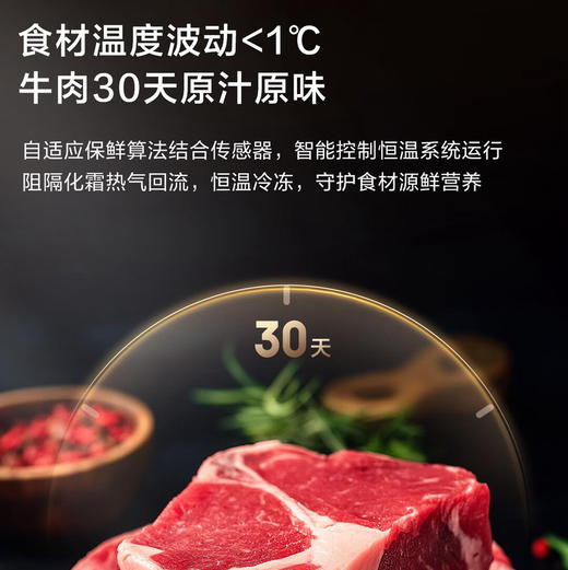 海尔（Haier）冰箱 BCD-503WGHFD14GYU1（白） 商品图5