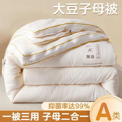 【立体绗缝工艺❗️蓬松贴肤柔软】A类母婴级大豆纤维子母被二合一拉链款被子冬被加厚保暖棉被被芯。jb 商品图0