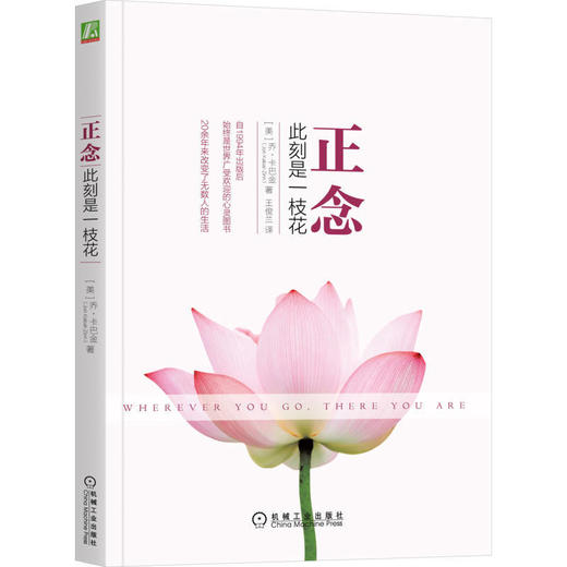正念:此刻是一枝花 商品图0