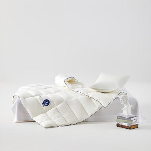 【分仓直发包邮】无印良品加州鹅丝被MJ-B2025-0176 商品图1