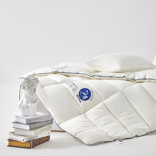 【分仓直发包邮】无印良品加州鹅丝被MJ-B2025-0176 商品图2