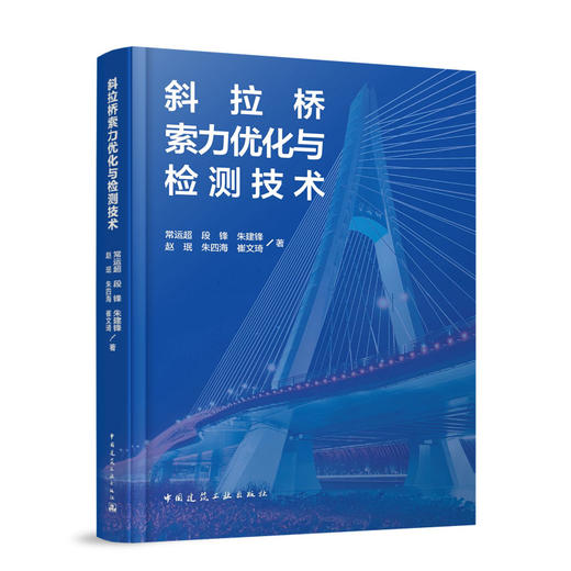 斜拉桥索力优化与检测技术 商品图0