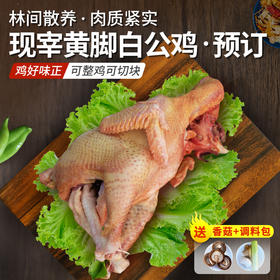 【12月31日现杀鲜鸡】散养黄脚白公鸡  纯粮食喂养土鸡 粮食鸡 肉质鲜嫩 适合炒炖 可整鸡可切块