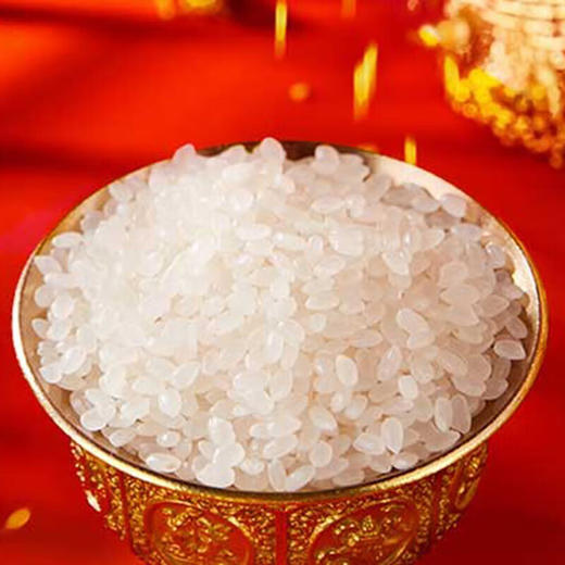 金龙鱼 乳玉皇妃壹品稻花香 5KG 商品图1