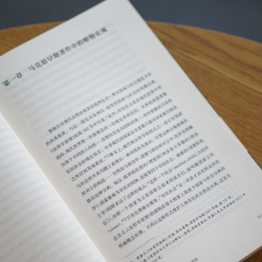 马克思资本概念的逻辑结构//当代学术棱镜译丛·新马克思阅读系列 商品图5