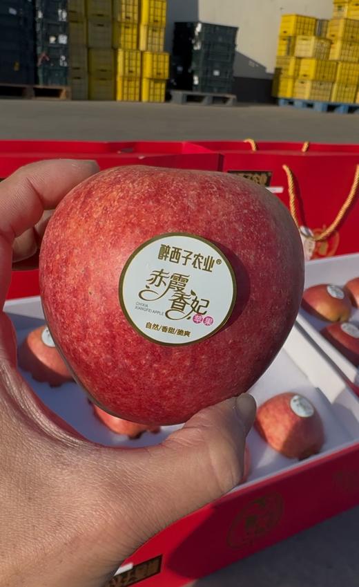 顺丰发货【精品水果】醉西子赤霞香妃苹果 果中新贵 商品图2