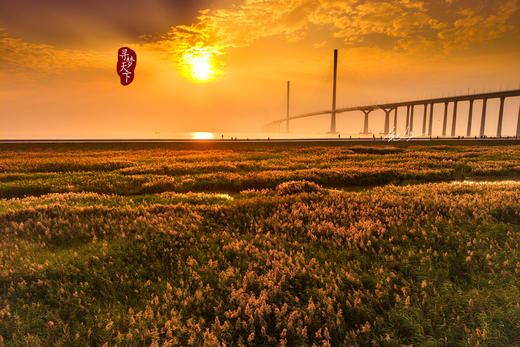 01月22日确定出发【魅力湾区】珠海天沐琴台、黄茅跨海大桥2天摄影之旅 商品图6