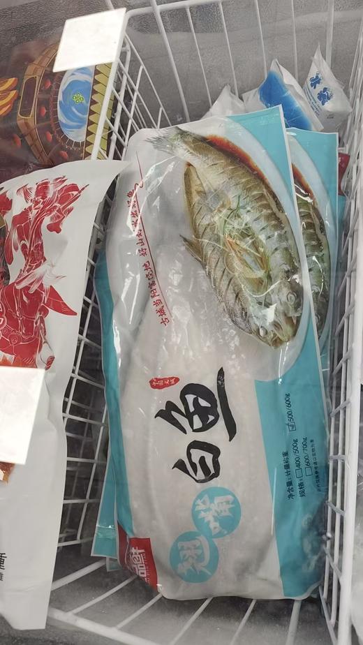 楚品鲜（当阳） 翘嘴白刁  500-600g 商品图0