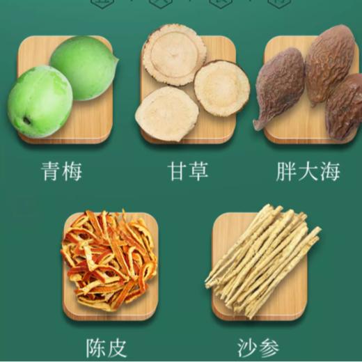 康泰口咽清 青梅100g 商品图2