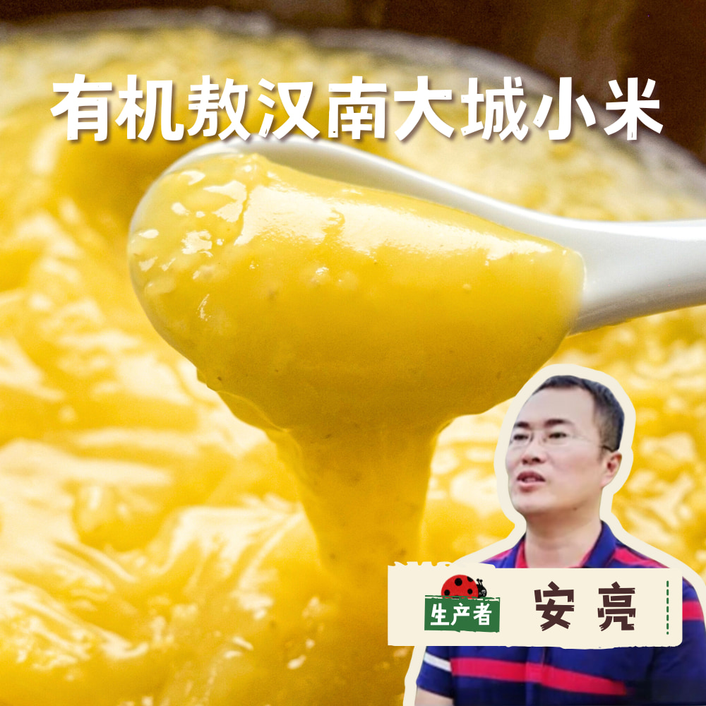 【2025年新米】有机敖汉南大城小米 5斤装 | 合作农友生产，产自内蒙古敖汉核心产区，生产者:安亮 *【公平贸易农人定价】