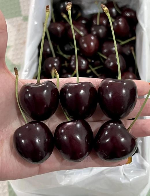 新西兰奥塔哥科迪亚车厘子298元1箱5斤装，明天到货 商品图0