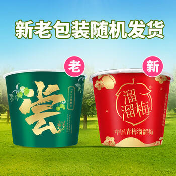 溜溜梅青梅全家桶600g西梅雪梅话梅杨梅乌梅健康休闲零食囤货大礼包 /休闲食品 /蜜饯果干 /梅子干 商品图3