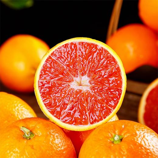 【果肉细腻】中华红橙（红肉脐橙） 净重4.5斤 香甜多汁橙香四溢 商品图4