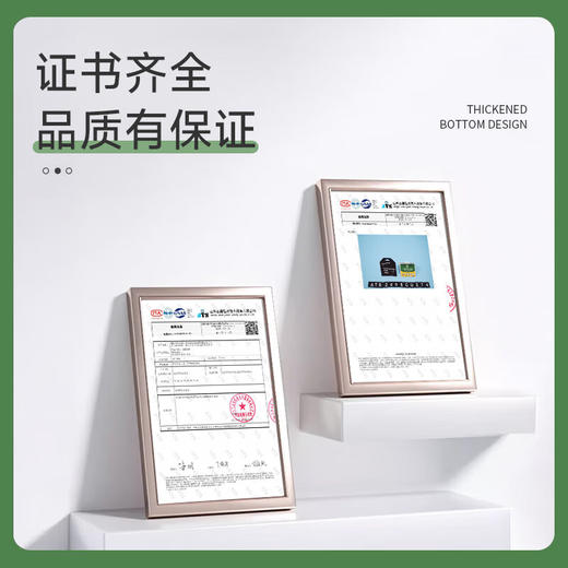 巨奇-飞蛾陷阱5片/盒 商品图5