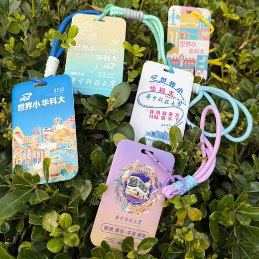 彩色挂绳卡套 商品图1